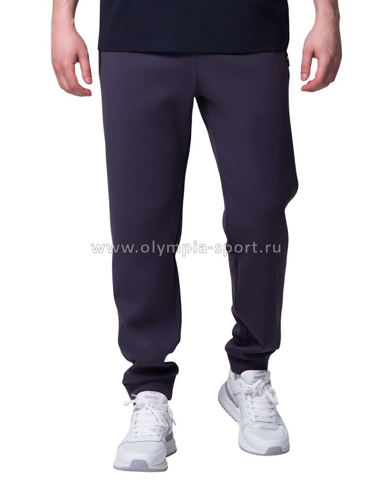 Брюки мужские Strobbs E2393-1 темно-серый