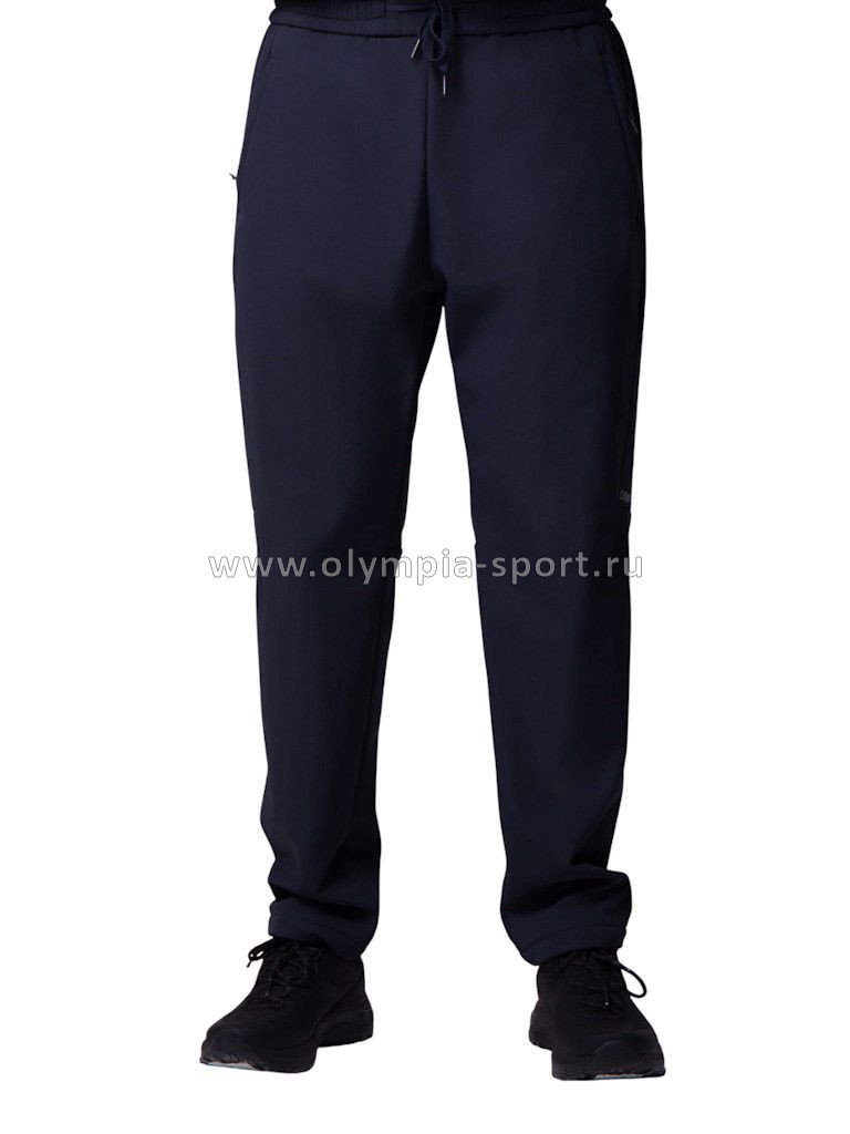 Брюки мужские Strobbs E2465-2 темно-синий