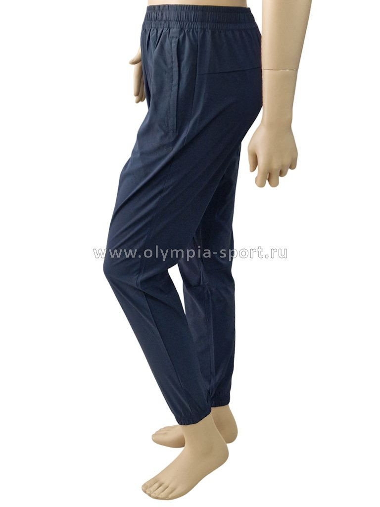 Брюки мужские Strobbs E2430-2 синий